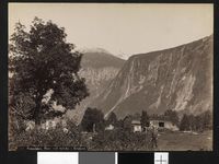 161. 729. Romsdalen, Parti ved Syltebø i Erisfjord - no-nb digifoto 20151109 00080 bldsa AL0729.jpg