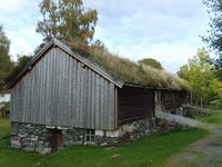 144. 7309 RM Hammervolloea.jpg