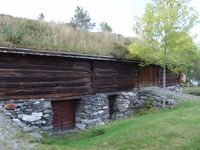 126. 7313 RM Hammervolloea.jpg