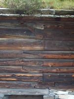 140. 7314 RM Hammervolloea.jpg