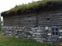 164. 7315 RM Hammervolloea.jpg