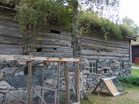 145. 7316 RM Hammervolloea.jpg