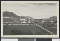 17. 7333 Parti fra Alvdal - no-nb digifoto 20150722 00015 bldsa PK27842.jpg