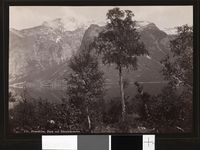 165. 738. Romsdalen, Parti ved Eikisdalsvandet - no-nb digifoto 20151109 00086 bldsa AL0738.jpg