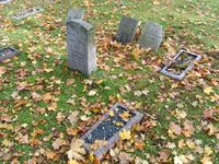 Foto: Olve Utne (2008).