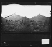 21. 77 ny. Solvaagtind set fra Junkerdal Gaard. Stereoskop - NB bldsa OTO0106 A.jpg