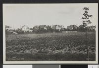 Grefsen. Foto: Nasjonalbiblioteket