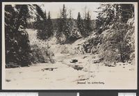 73. 7 "Mesna" en vinterdag - no-nb digifoto 20150814 00022 bldsa PK25978.jpg