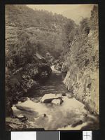 86. 822. Søndmør, Parti ved Hellesylt - no-nb digifoto 20151112 00168 bldsa AL0822.jpg