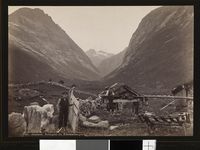 3. 837. Søndmør, Norangdal fra Fibelstadhaugen - no-nb digifoto 20151112 00173 bldsa AL0837.jpg