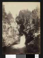 43. 878. Nordfjord, Parti mellem Haugen og Grodås - no-nb digifoto 20151113 00232 bldsa AL0878.jpg