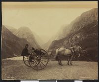 3. 8831 Kariol - no-nb digifoto 20160405 00116 bldsa L KK0282.jpg