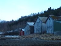 21. 8837 naustrekkje ved Fjelnsetneset ved Vinjeoera.jpg