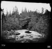 44. 892. Mo. Eiteraahullet - NB bldsa OTO0479 A.jpg