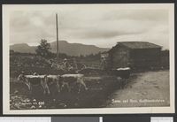 263. 899 Sæter ved Atna, Gulbrandsdalen - no-nb digifoto 20150806 00153 bldsa PK27527.jpg