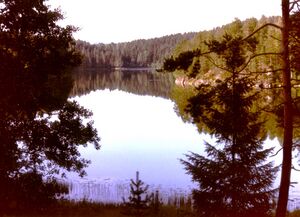 948.26 Motiver fra Fiskum (oeb-201629).jpg