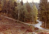 68. 948.26 Veier på Fiskum (oeb-201429).jpg