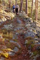 267. 948.26 Veier på Fiskum (oeb-202832).jpg