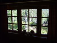 Foto: Olve Utne (2009).