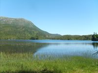 Foto: Olve Utne (2009).