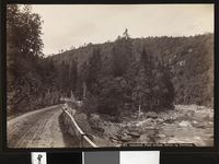 59. 987. Soknedal, Parti mellem Støren og Præsthus - no-nb digifoto 20160104 00046 bldsa AL0987.jpg