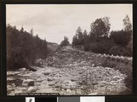 55. 989. Soknedal, Parti mellem Støren og Præsthus - no-nb digifoto 20160104 00048 bldsa AL0989.jpg