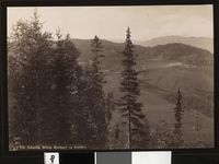 56. 995. Soknedal, Mellem Bjerkager og Austberg - no-nb digifoto 20160104 00052 bldsa AL0995.jpg