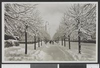 140. 9983 Hamar Stangeveien - no-nb digifoto 20150720 00326 bldsa PK25646.jpg