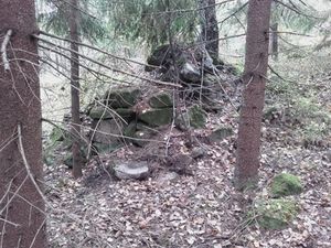 A1 20161012 132906.jpg