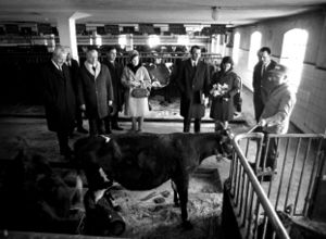 A20 ASKER LANDBRUKSFORENING .jpg