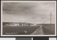 35. Aasnes Sønsterud - no-nb digifoto 20150810 00028 bldsa PK30165.jpg