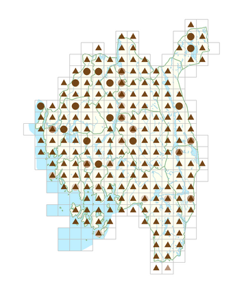 Acer platanoides.png
