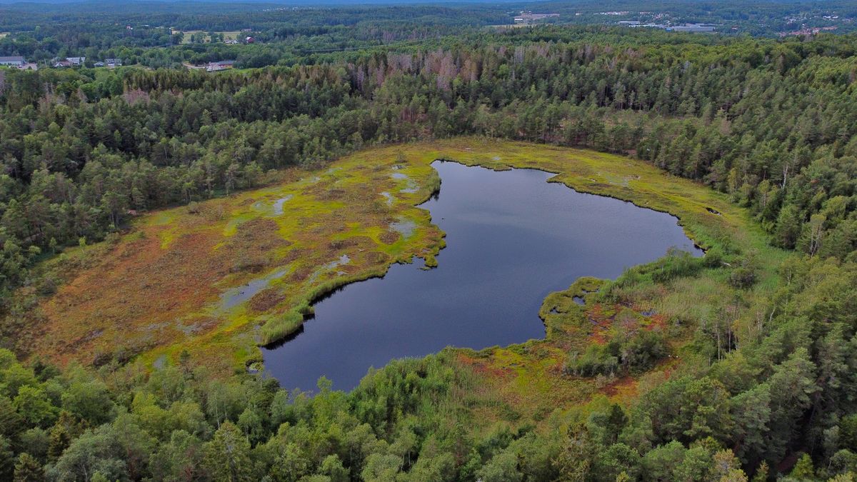 Adalstjern naturreservat – 