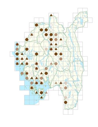 Adoxa moschatellina.png