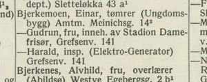 Adressebok Oslo 1970 utsnitt.jpg