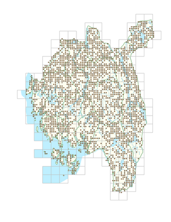 Agrostis capillaris 1.png