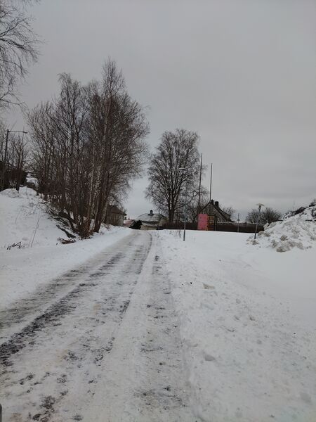 Fil:Akebakke på Løkka.jpg