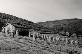 Aksel Pedersen`s hus, Misvær, Nordland - Riksantikvaren-T411 01 0011.jpg
