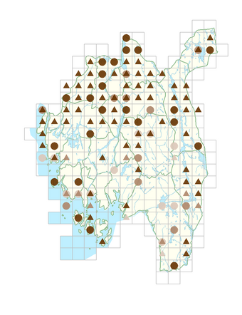 Alchemilla glabra.png
