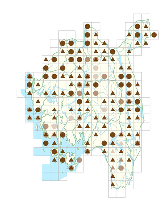 Alchemilla glaucescens.png