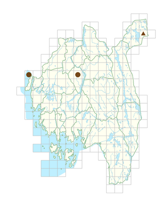 Alchemilla norvegica.png