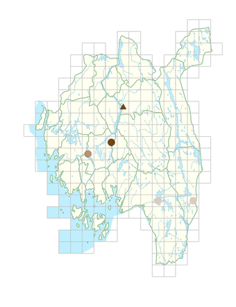 Alchemilla plicata.png