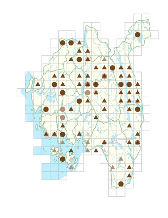 Alchemilla subcrenata.png