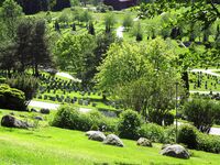 Oversikt over Alfaset gravlund juni 2015. Foto: Stig Rune Pedersen