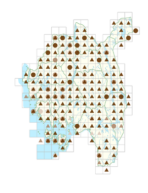 Alisma plantago-aquatica.png