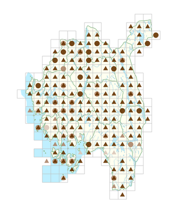 Alisma plantago-aquatica.png