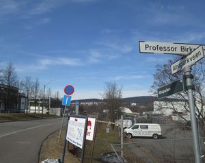 Alnaparkveien Oslo 2013.jpg
