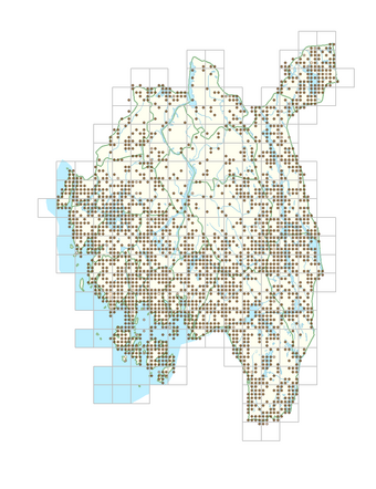 Alnus glutinosa 1.png