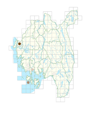 Alopecurus myosuroides.png