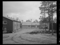 11. Alta - no-nb digifoto 20150206 00149 NB MIT FNR 19124.jpg